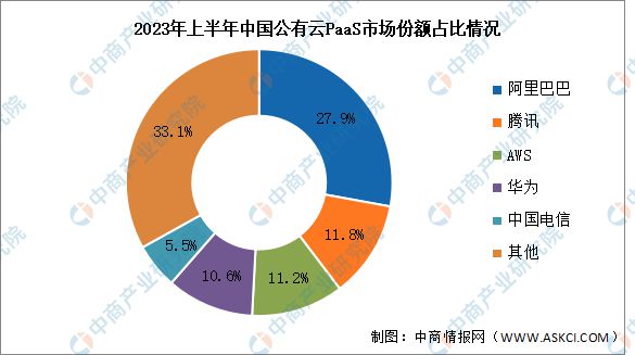 2024年中国公有云服务行业市场前景预测研究报告(图12)