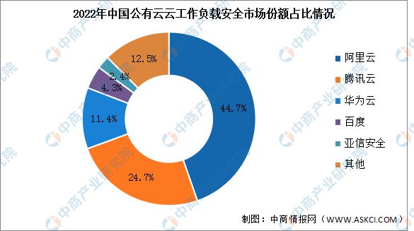 2024年中国公有云服务行业市场前景预测研究报告(图10)